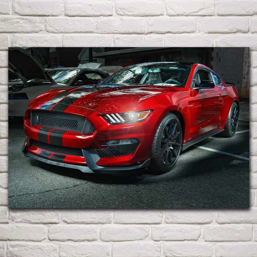 Cuadro Coche Mustang Gt350 Shelby