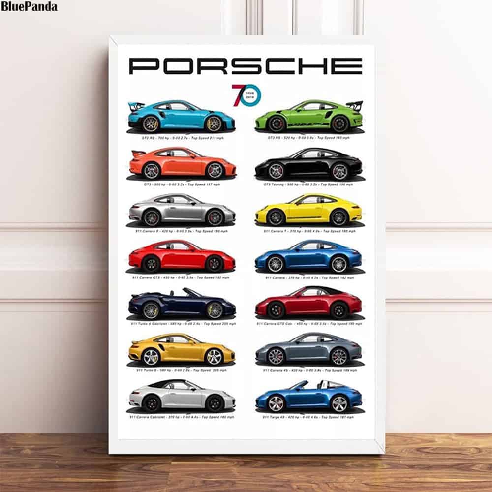 Cuadro Coche Evolution Porsche 911
