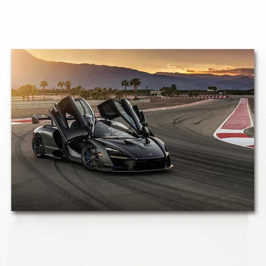 Cuadro Coche Mclaren Senna