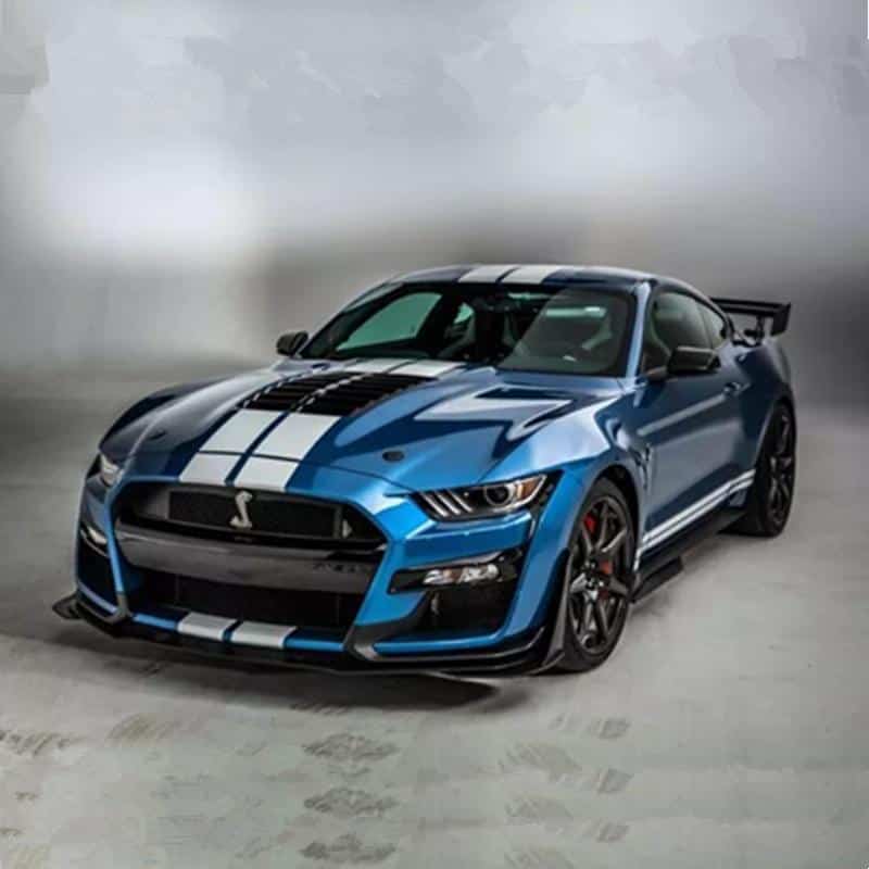 Coches Miniatura Ford Shelby Gt500 (1:18)